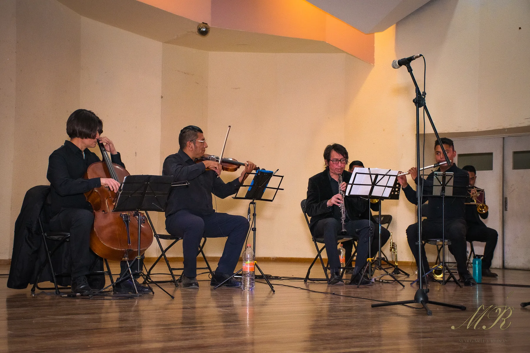 Músicos de cuerdas y alientos durante un concierto
